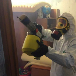Уничтожение клопов в квартире. Фрязино
